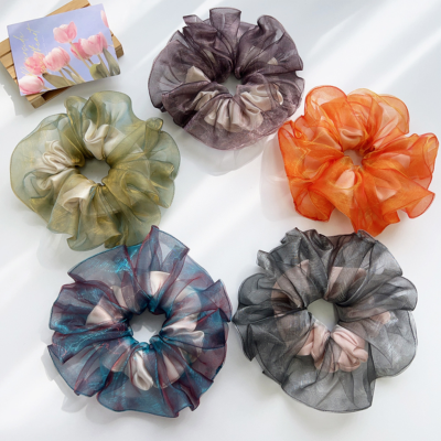 Organza iridescent scrunchie, dreamy and sophisticated, 2026 new ponytail hair accessory.