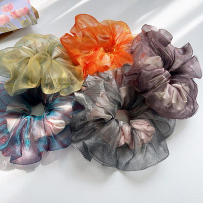 Organza iridescent scrunchie, dreamy and sophisticated, 2026 new ponytail hair accessory.
