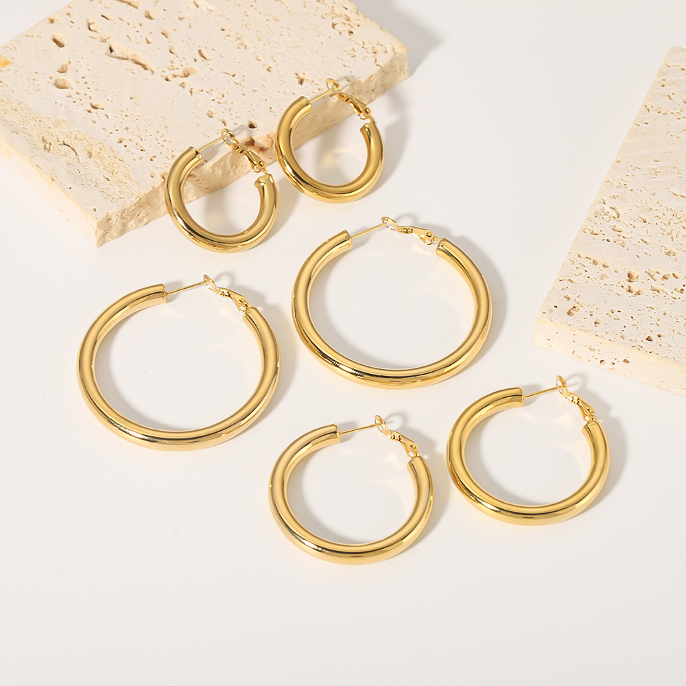 18k Gold-Plated Stainless Steel Earrings1