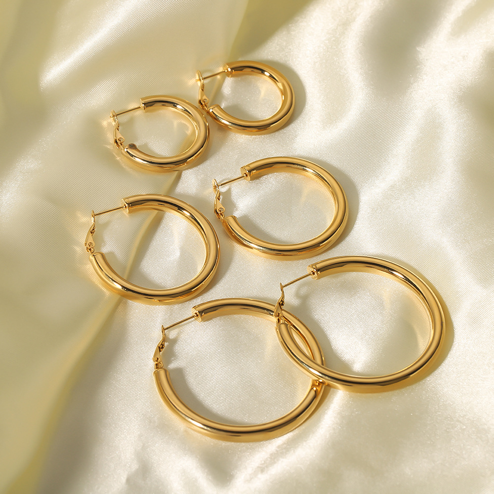 18k Gold-Plated Stainless Steel Earrings1